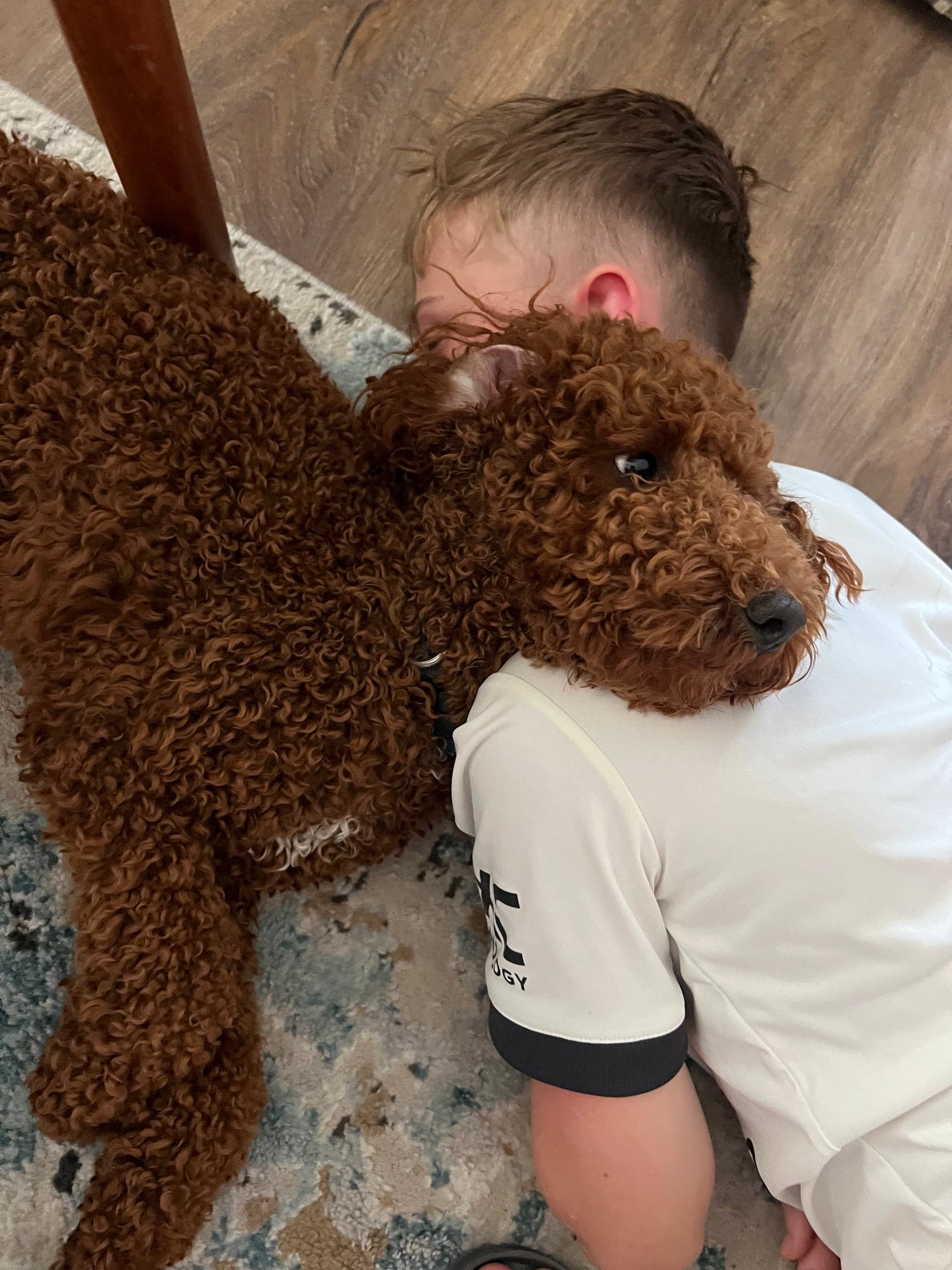 Mercy Lane Dogs family moment