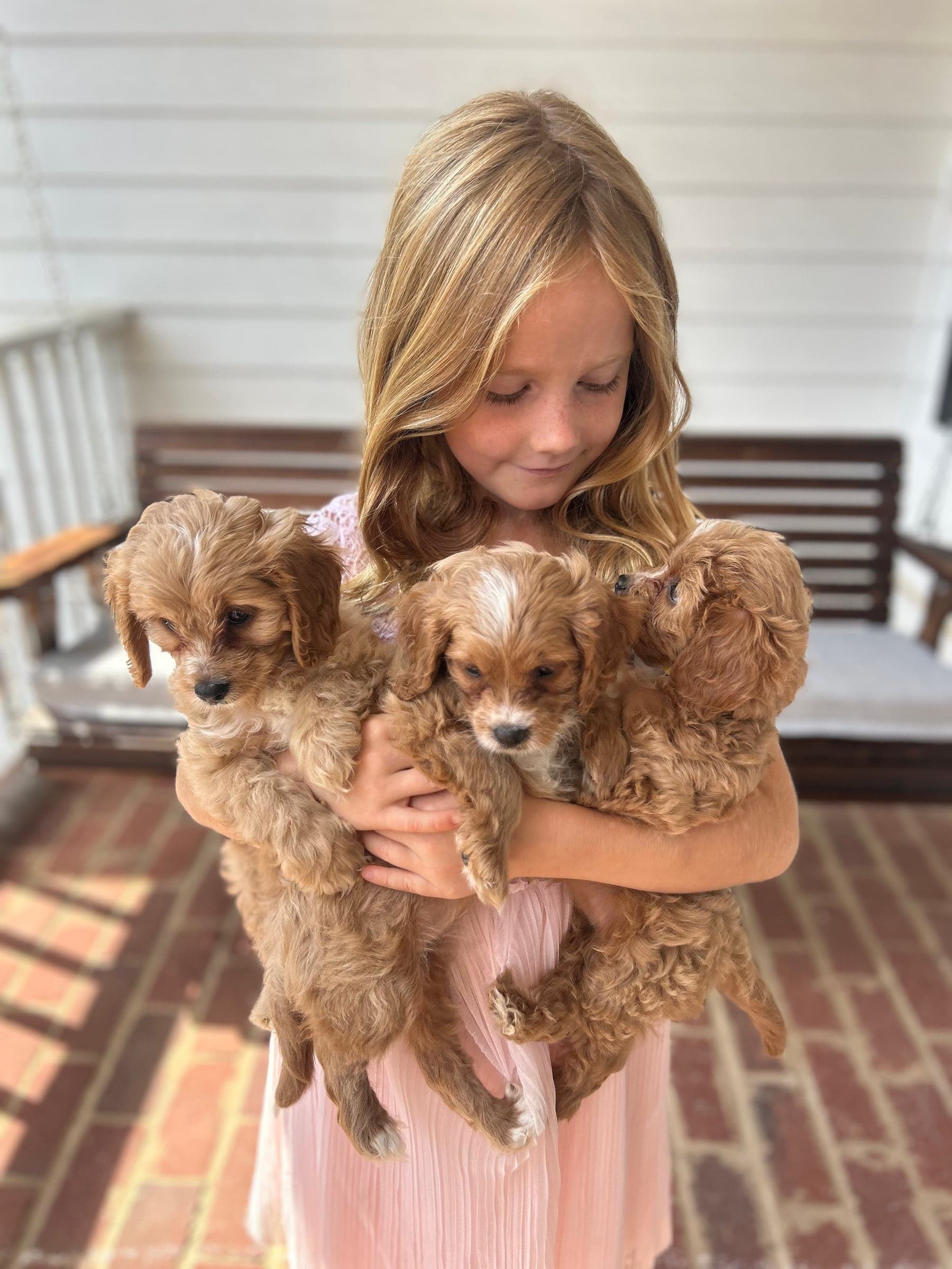 Mercy Lane Dogs family moment