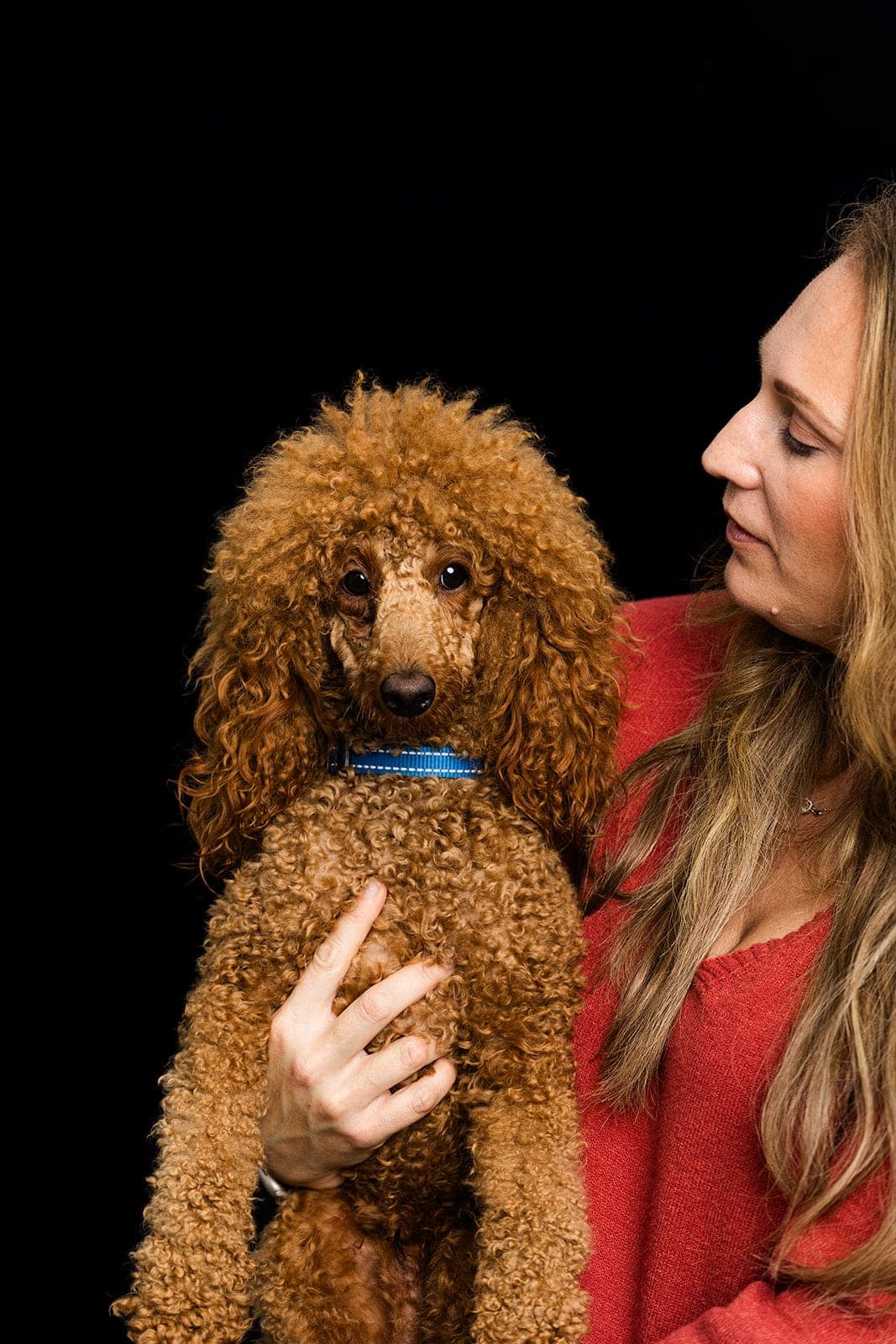 Mercy Lane Dogs family moment